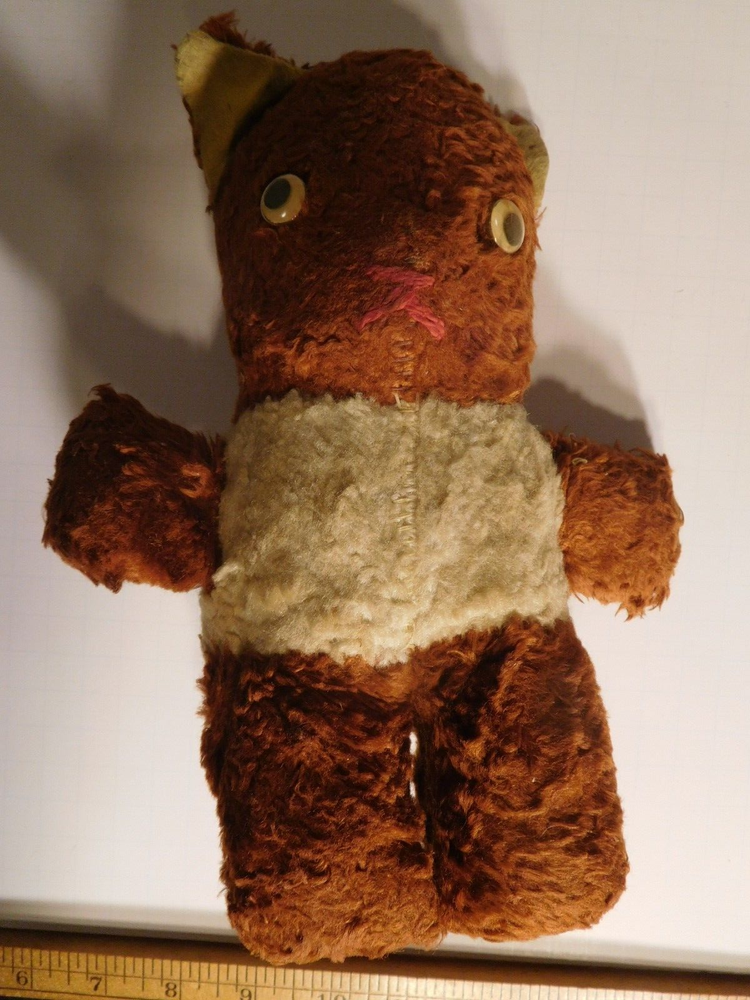 ~ Creepy Paranormal Mutant Teddy Bear ~