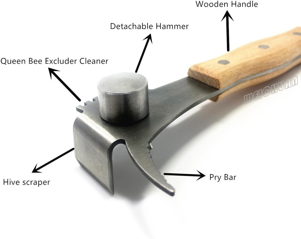 Stainless Steel Hive Scraper Tool with Sturdy Wood Handle for Beekeepers