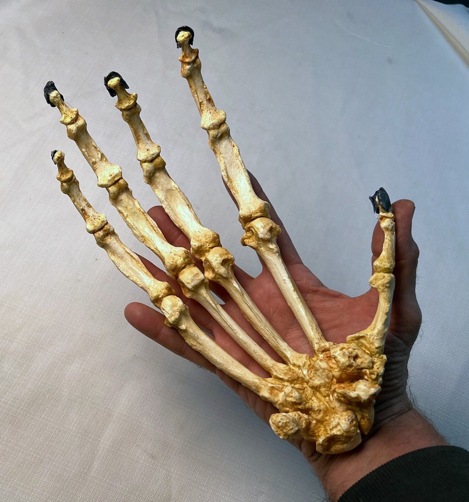 Bornean Orangutan Hand Articulated Replica