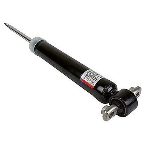 - Shock Abs (P) (ASH24665)