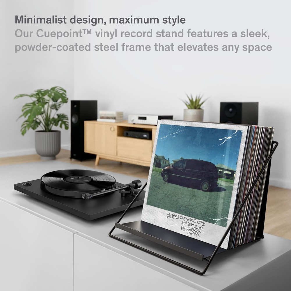Vinyl Record Holder - Solid Steel Vinyl Record Storage Rack for 50 LPs - Mini...