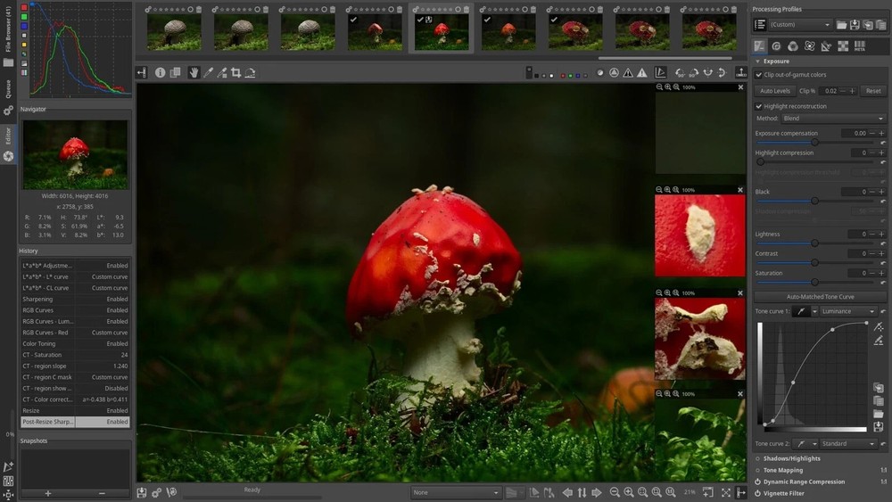 Raw Therapee Photo Editing Software 2026, RAW Image Editor for Windows USB