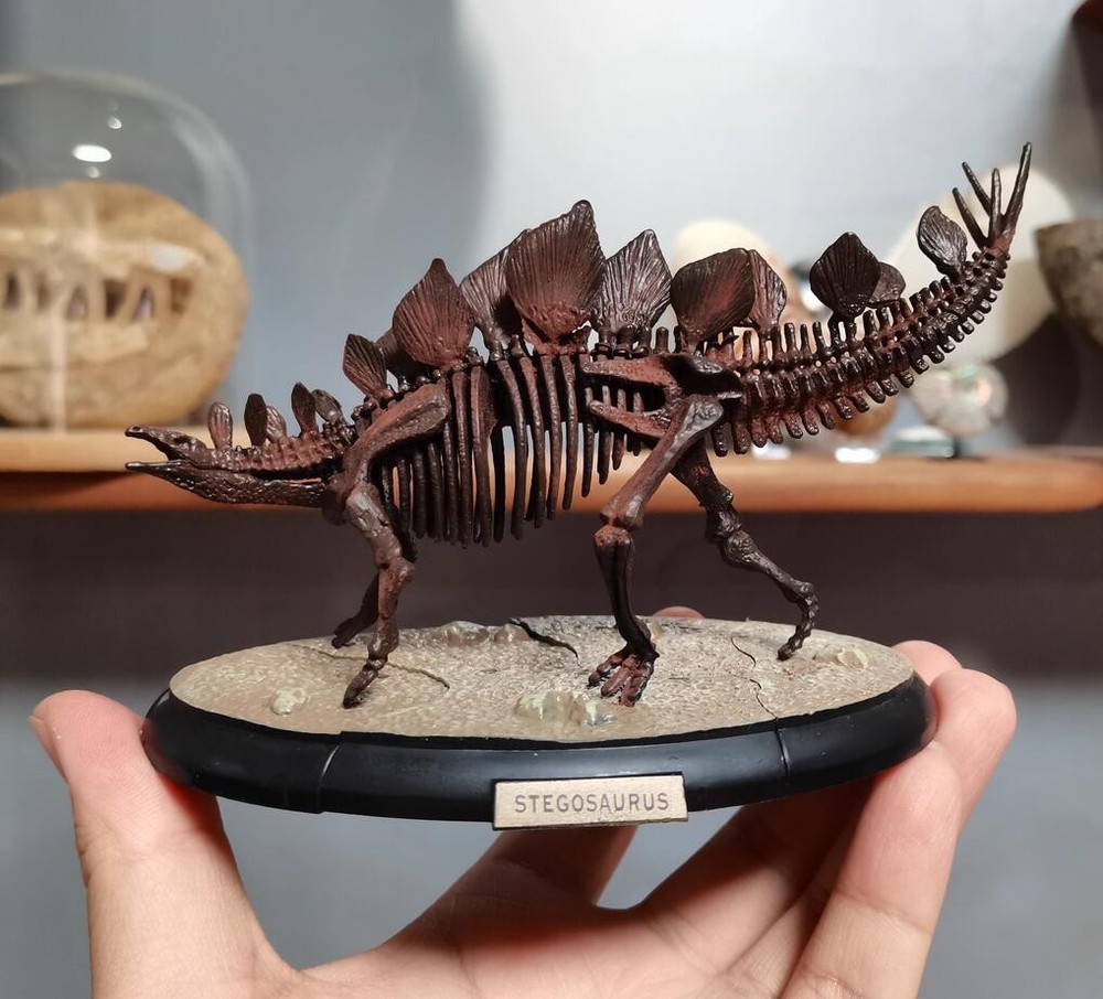 Stegosaurus Skeleton Model Dinosaur Model Statue Display Animal Model