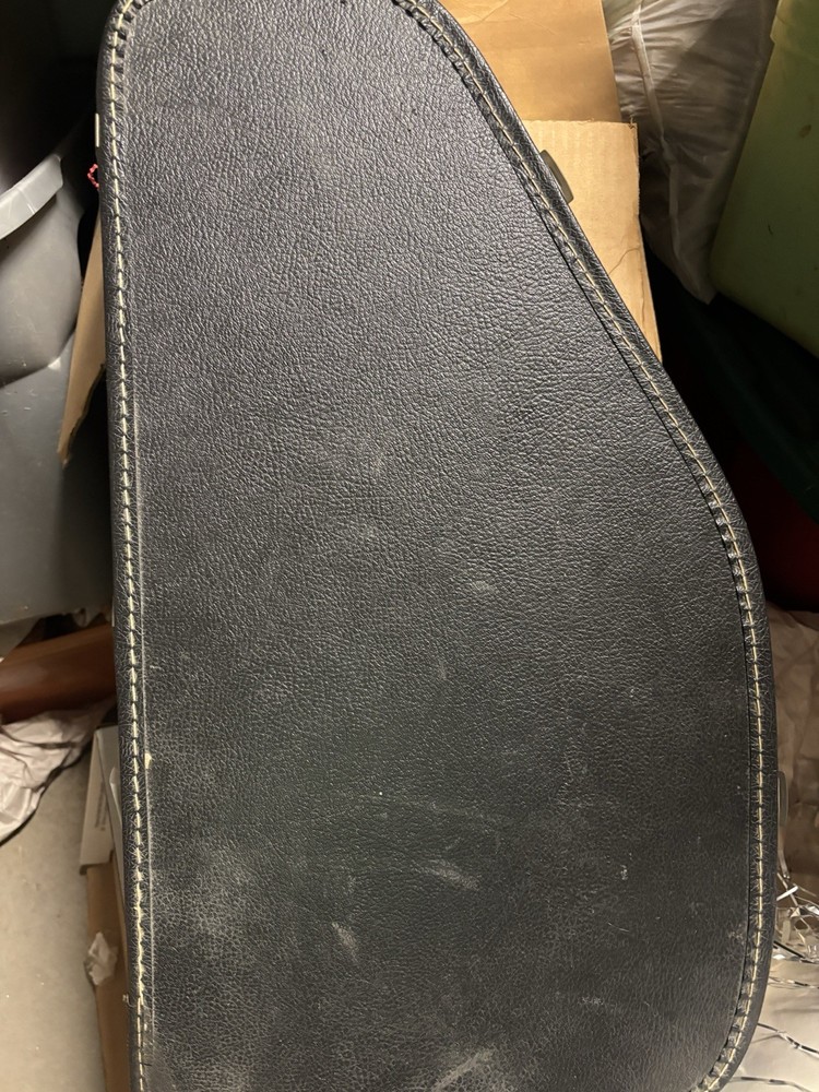 autoharp by oscar schmidt