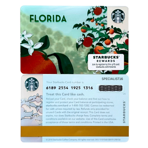 2019 STARBUCKS FLORIDA-Plastic Gift Card #6189