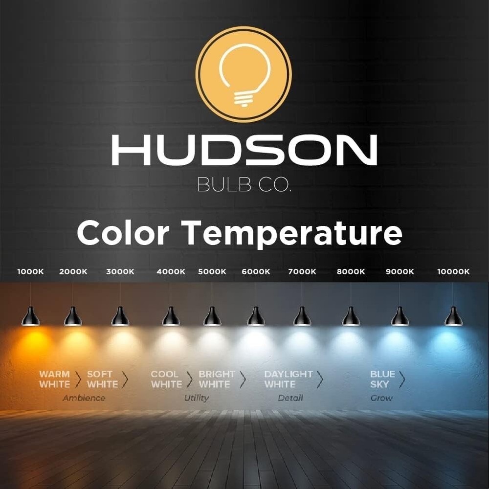 HUDSON BULB CO. Vintage LED Edison Light Bulbs 60W (6 Pack)- E26/E27 Base