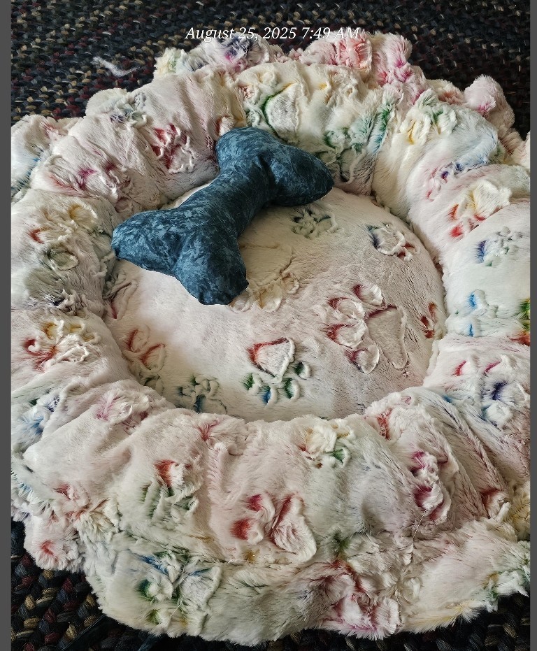 Hand crafted beautiful pet bed
