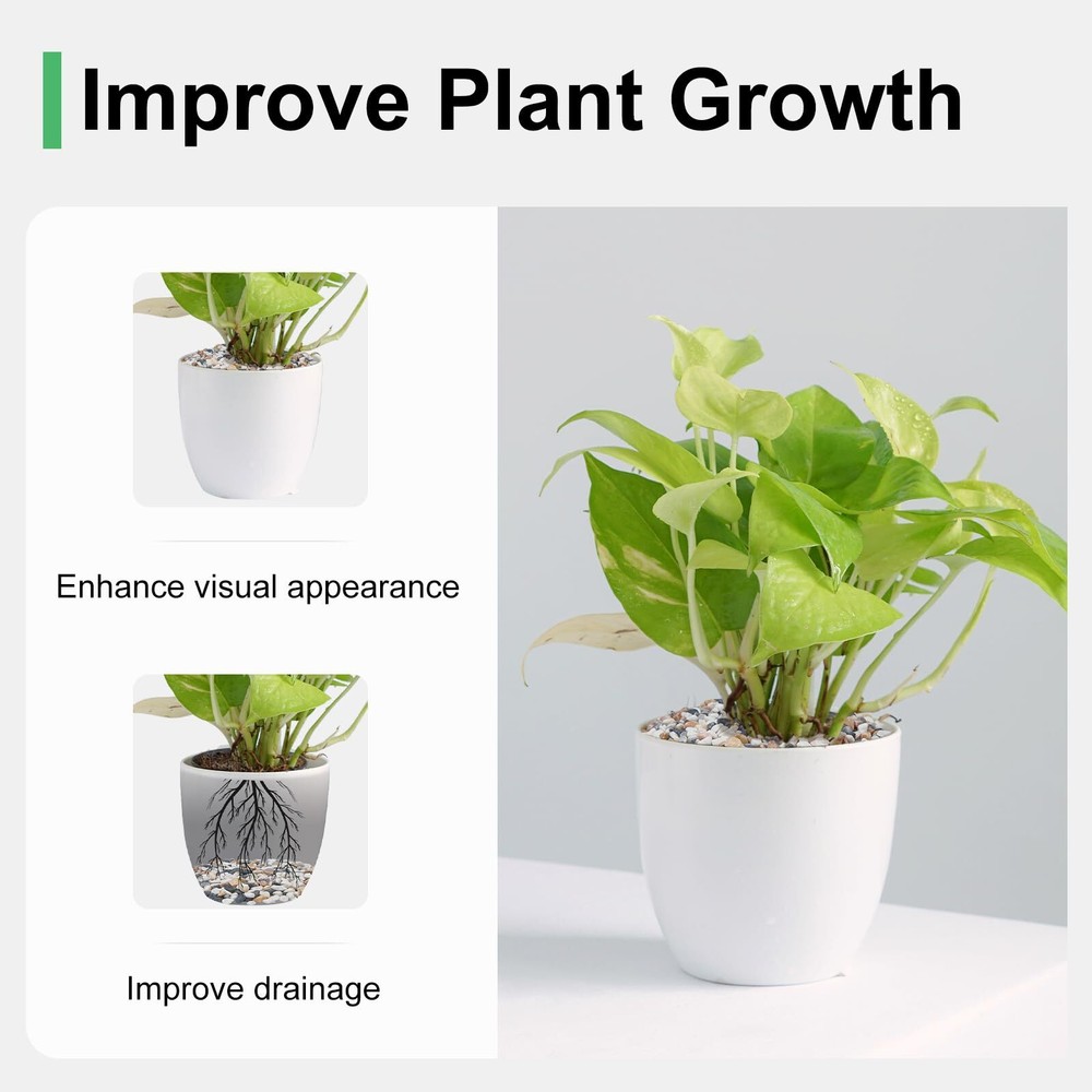 2.5 lbs Pebbles for Indoor Plants