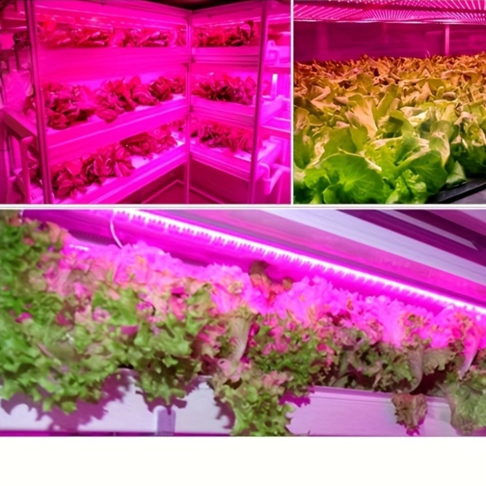 Multi Functional LED Ambient Plant Growth Light Plant Light Ramadan