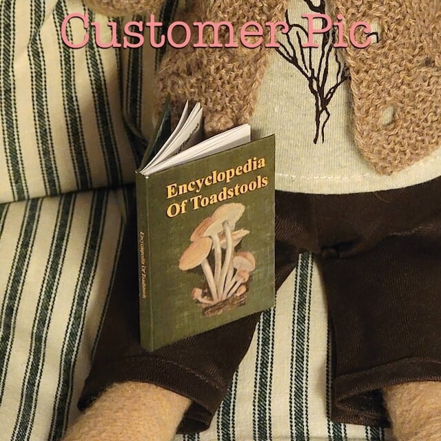 1:6 Scale ENCYCLOPEDIA OF TOADSTOOLS Miniature Illustrated Readable Book