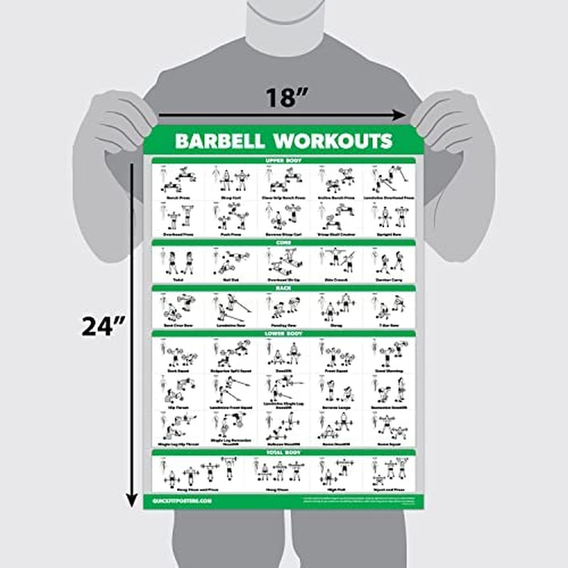 Dumbbell and Barbell Exercise Poster Set - Laminated 2 Chart Set