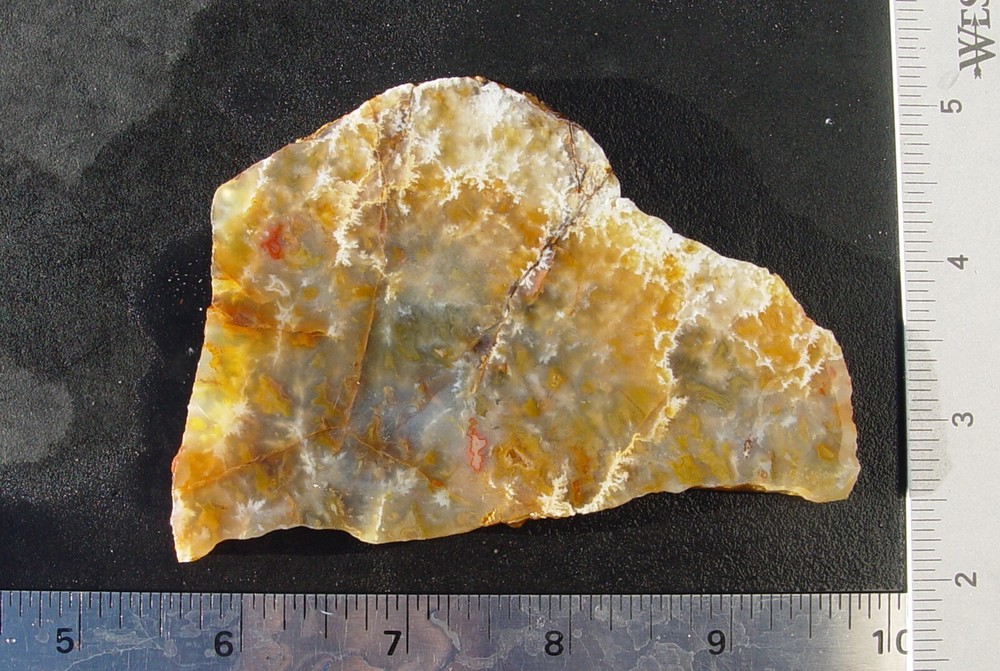 Graveyard Point Plume Agate Lapidary Slab T1026