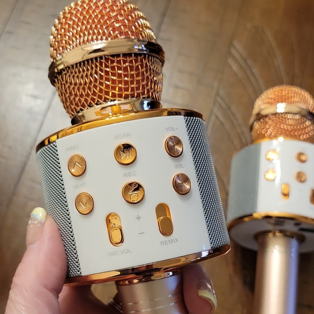 Cordless USB Handheld Karaoke Microphone Set Gold White On/Off Switch