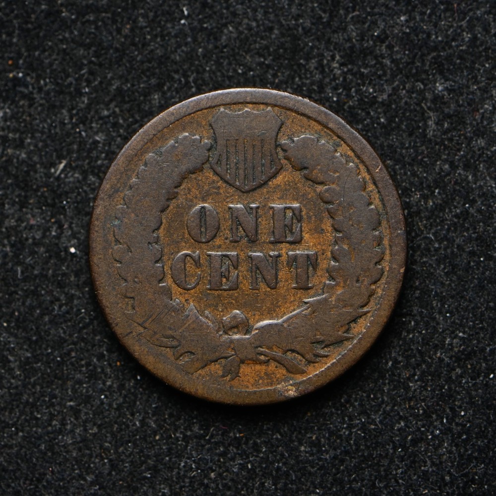 1894 Indian Head Cent (ab3166)