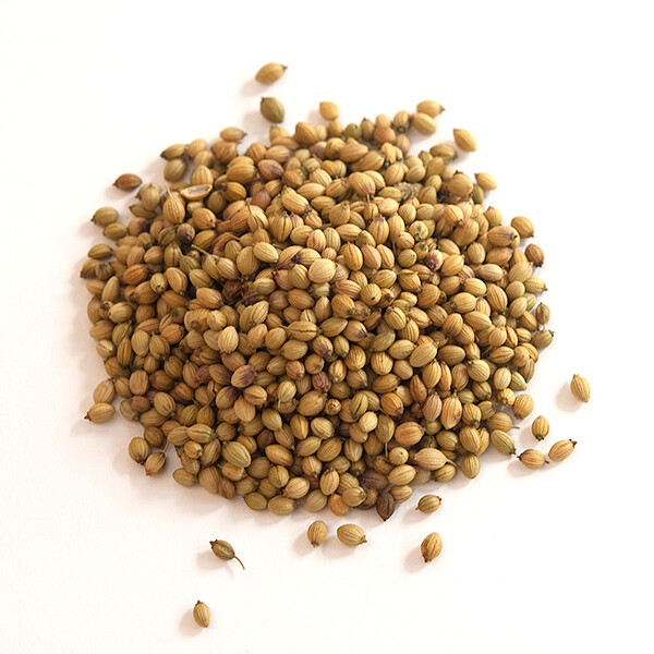 Coriander Seeds - 4 oz. | Bulk | Spice Jungle