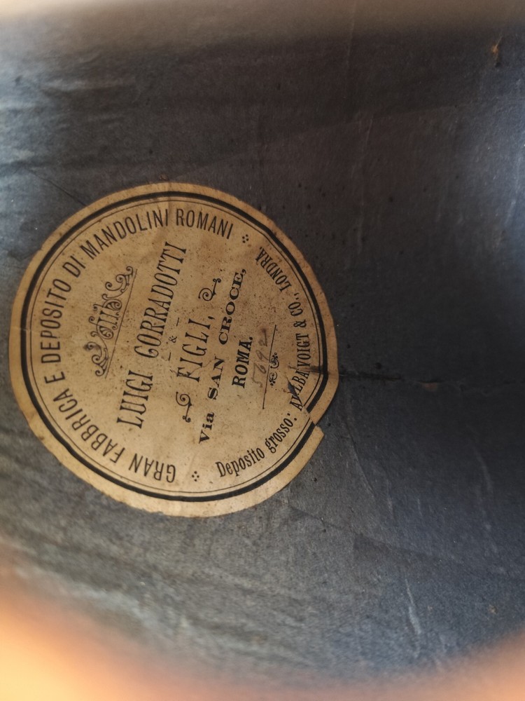Luigi Corradotti 1900 Rome 4/4 Mandolin 曼陀林 만돌린マンドリン