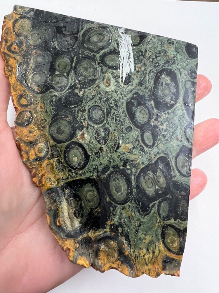 Kambaba, Kabamba, Jasper Stromatolite Slab 128 grams