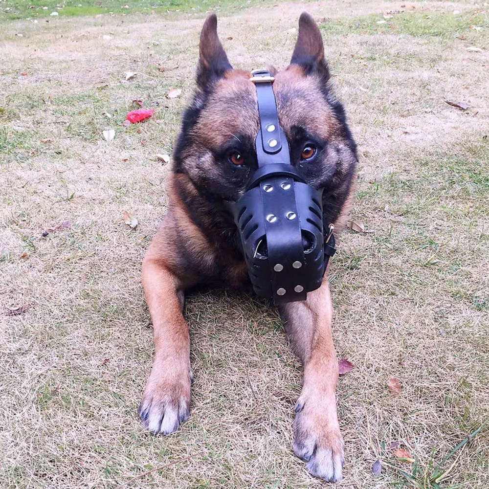 Adjustable Leather Dog Muzzle for Bite Prevention Training Chew Proof Design