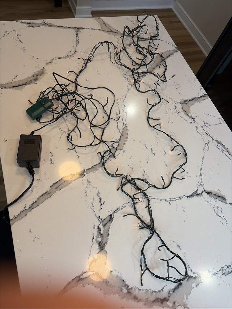 Tongui “Grain Of Rice” Light String