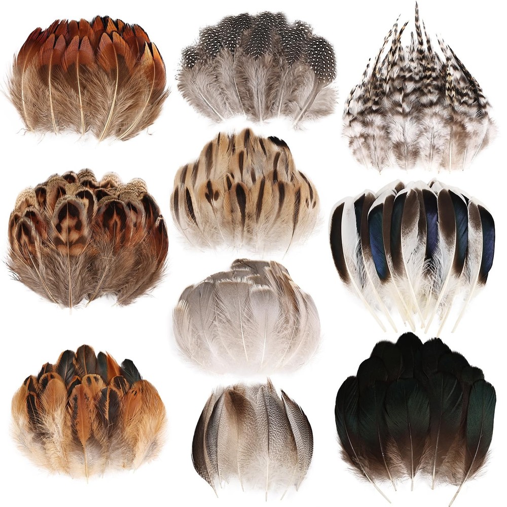 300 pcs Small Feathers - 10 Style Mixed Spotted Decorative Natual Pheasant Fe...