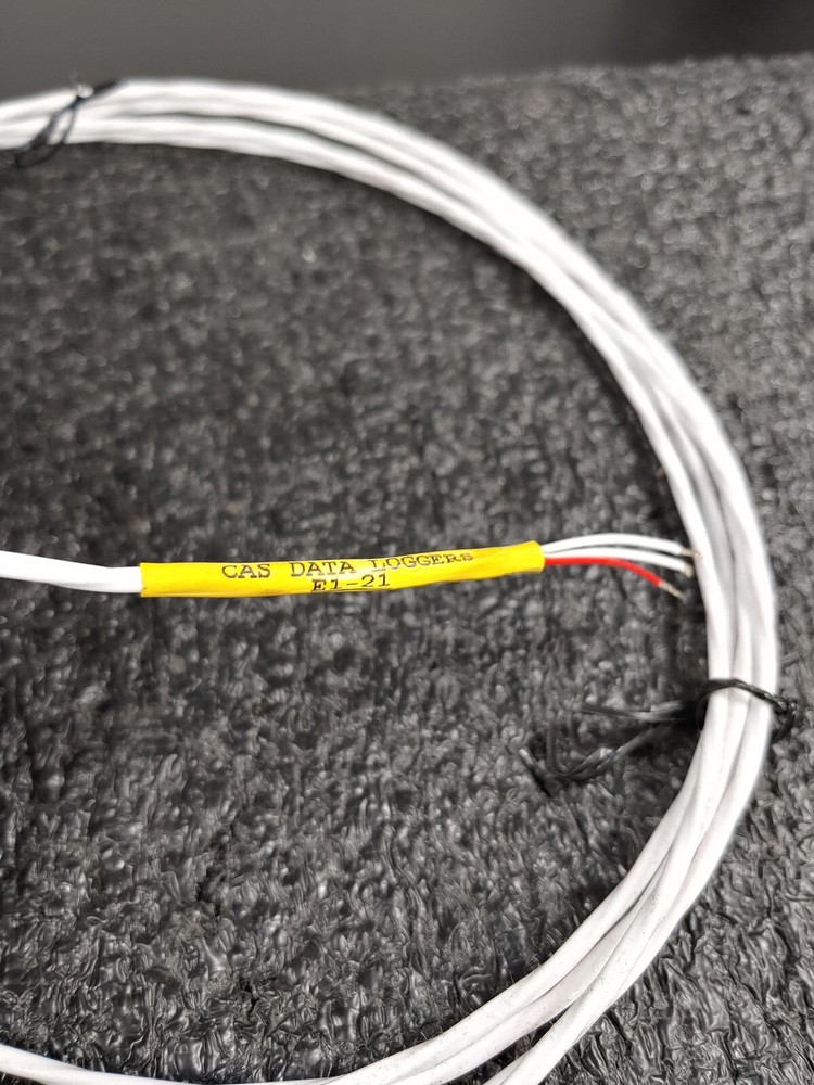 CAS DATA LOGGERS E1-21 Compact RTD Temp Probe