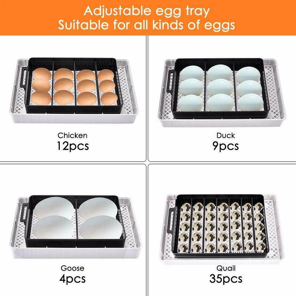 12 Egg Incubator for Hatching Eggs w/Automatic Egg Turning Temperature Control
