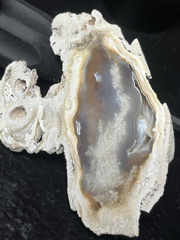 Huge Polished Agatized Coral Geode