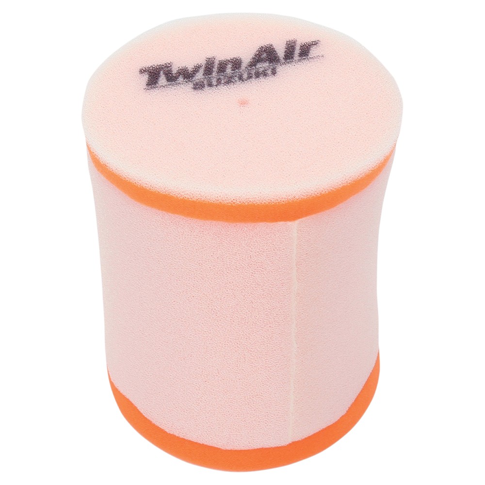 Twin Air Air Filter - 153910