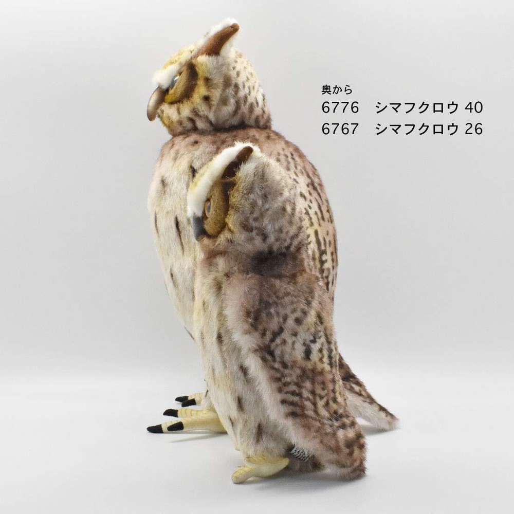 BH6776 HANSA Blakiston's Fish Owl 40
