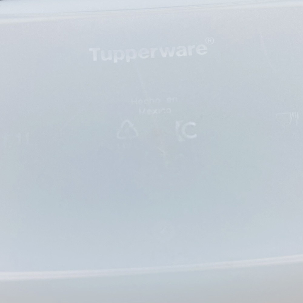 2 Plastic Tupperware Container for Freezer 450ml & 1.1 L Blue Covers