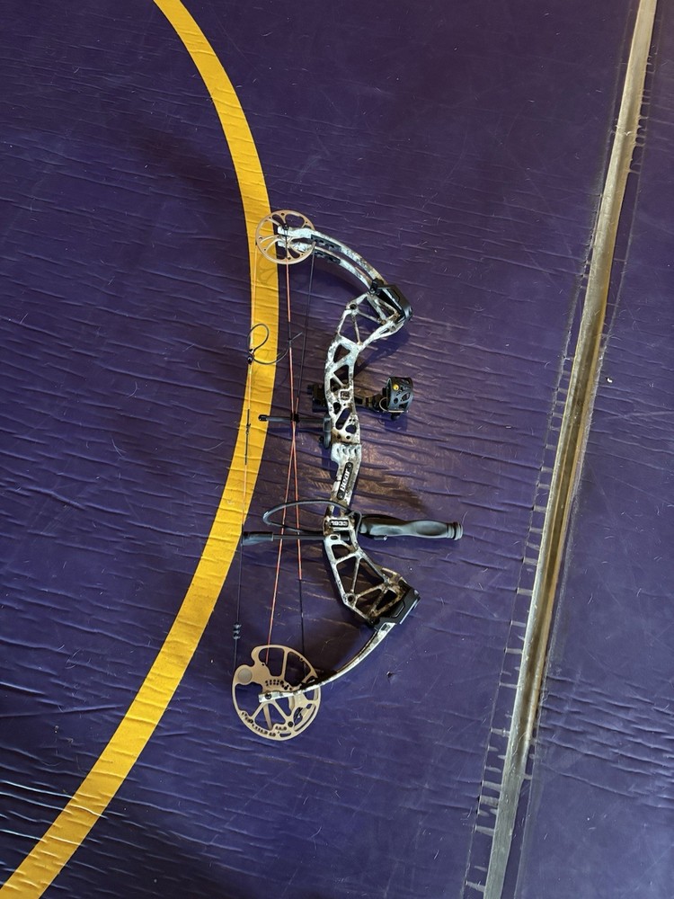 Left Handed Bear Paradox