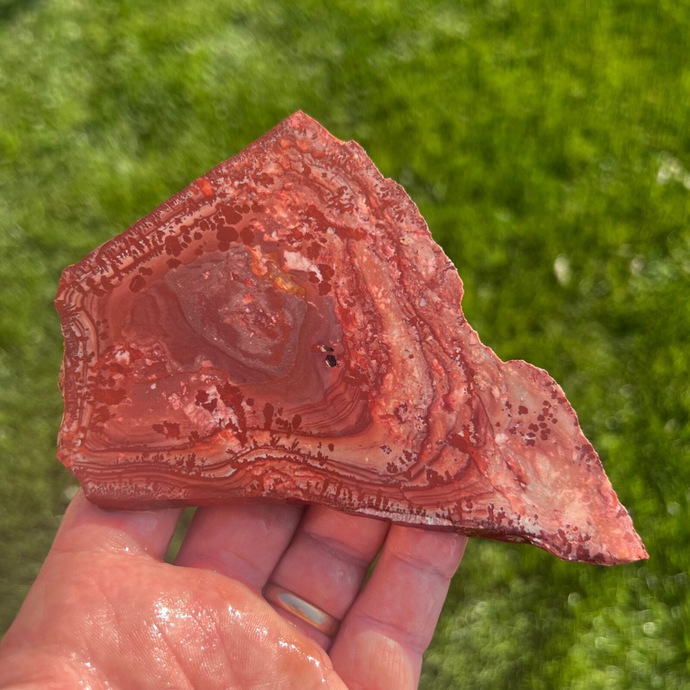 Apache Canyon Dendritic Rhyolite Rough Slab 118gm (S65)