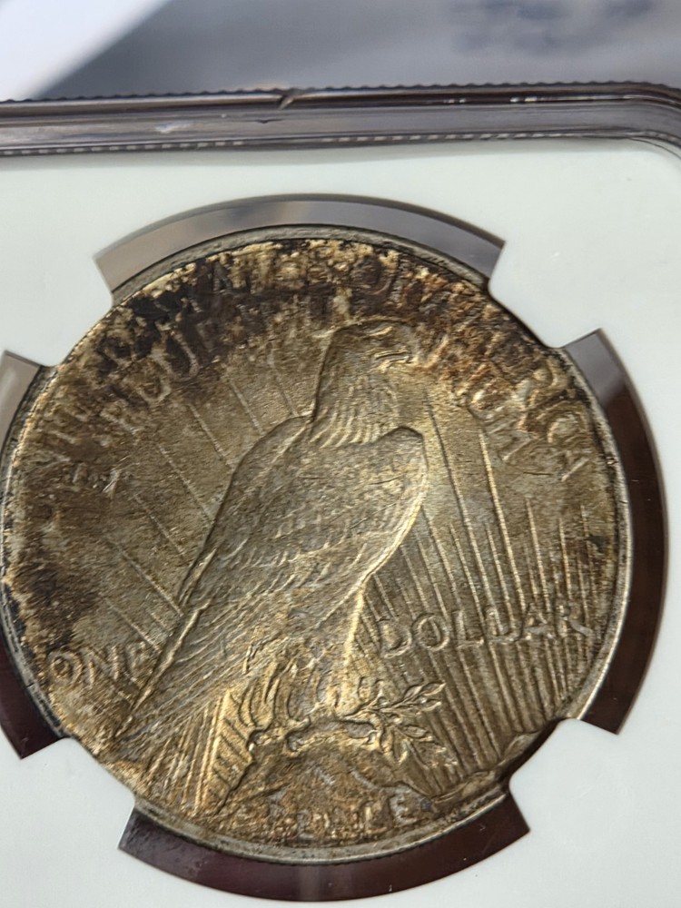 1924 $1 Peace Dollar NGC MS63 Toned