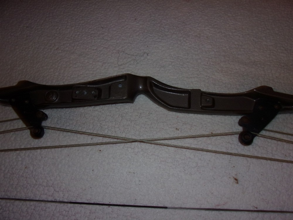 Bear Whitetail Hunter Vintage Compound Bow