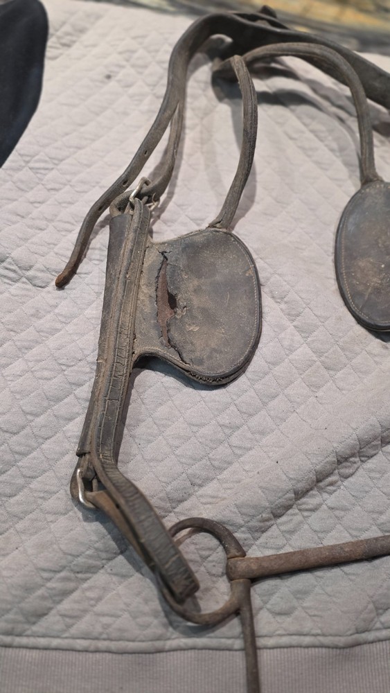 Vintage Draft Bridle with Blinders