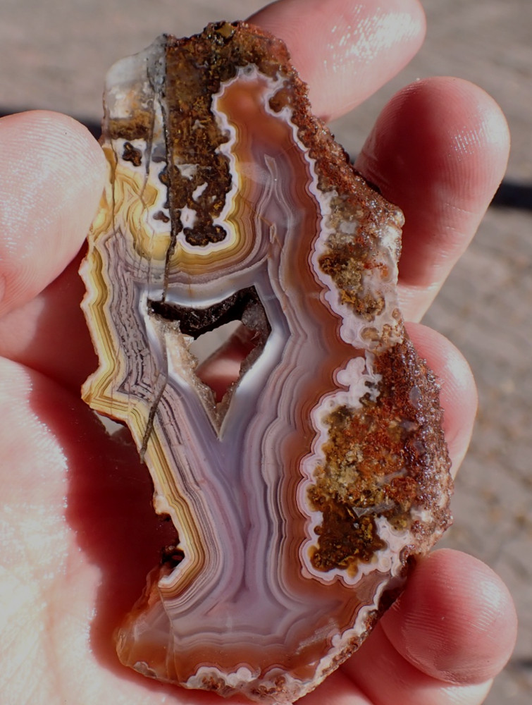 Rare Solid Laguna Agate Rainbow colors Lapidary Slab Parallax