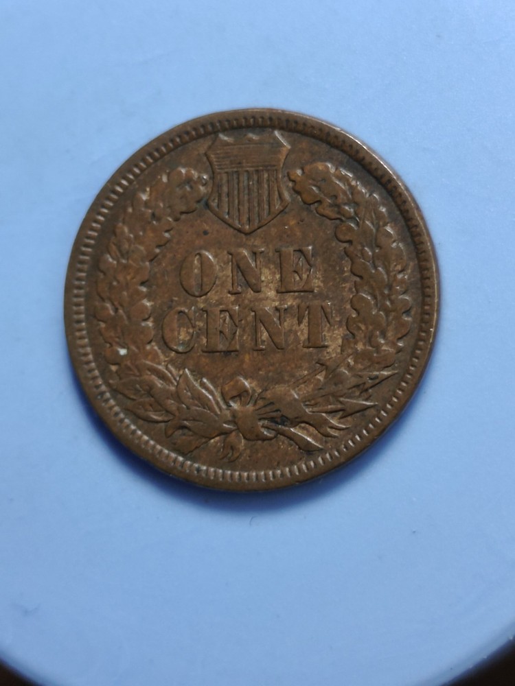 1898 Indian Head Cent #460