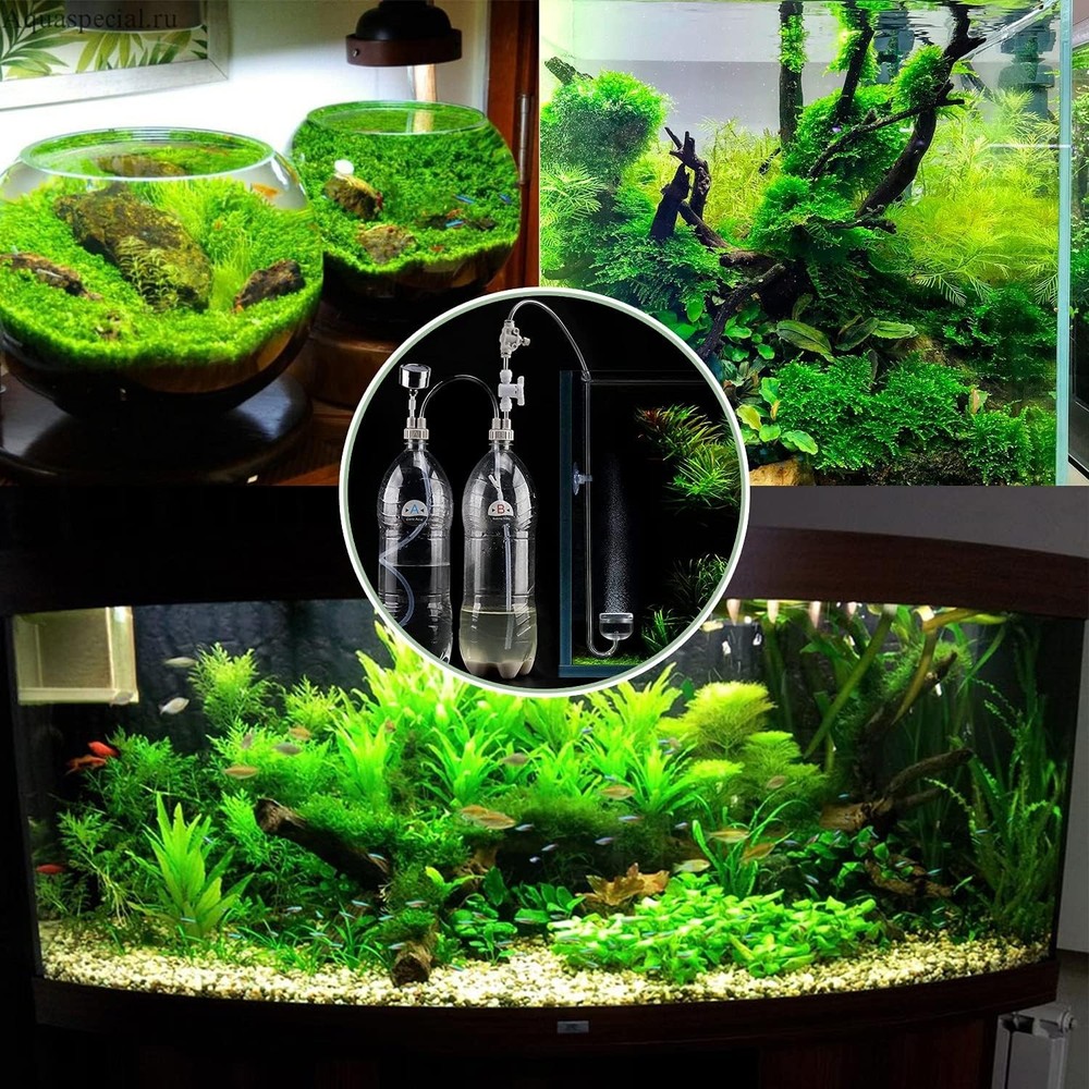 Efficient CO2 Regulator and Diffuser Kit for Sustainable Aquarium Plant Growth