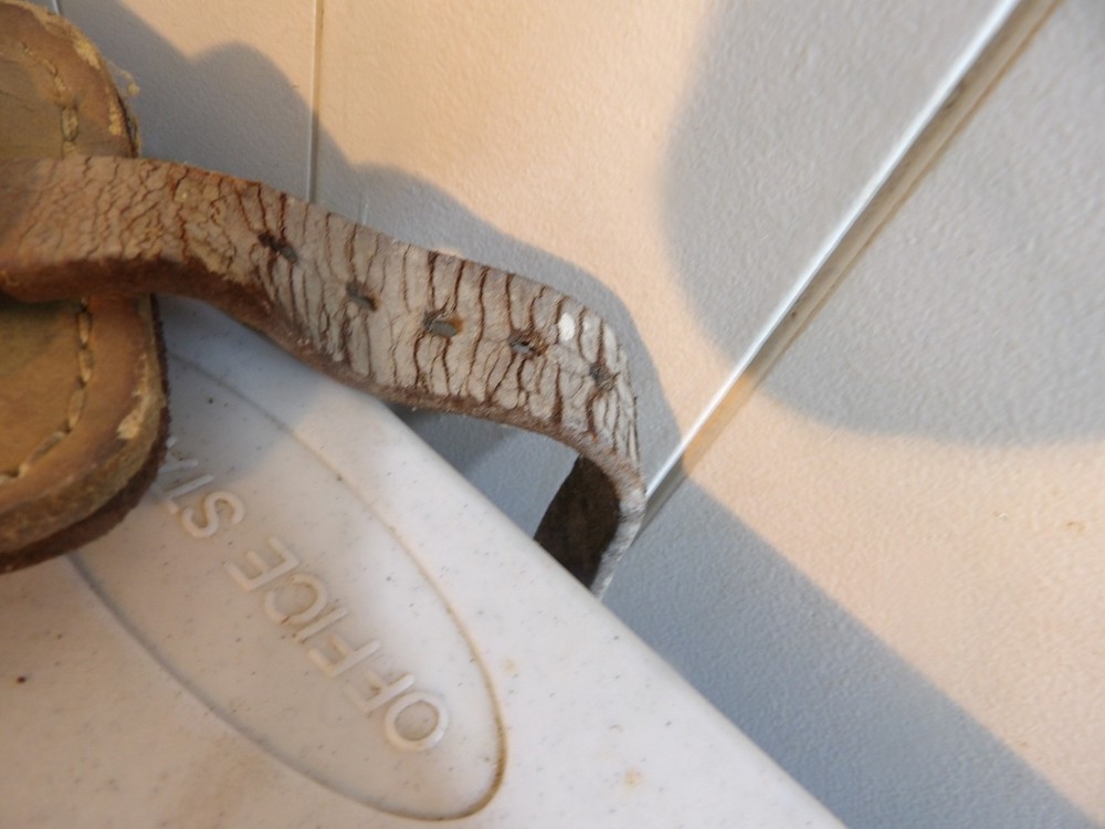 Tree Climbing Spikes ( leather in bad condition )