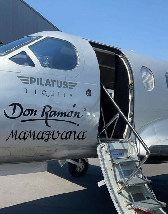 Mamajuana Aphrodisiac NO Mold - Fills One 500 Bottle FAST DELIVERY