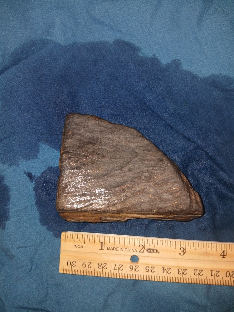6.7 oz Agatized Petrified Wood