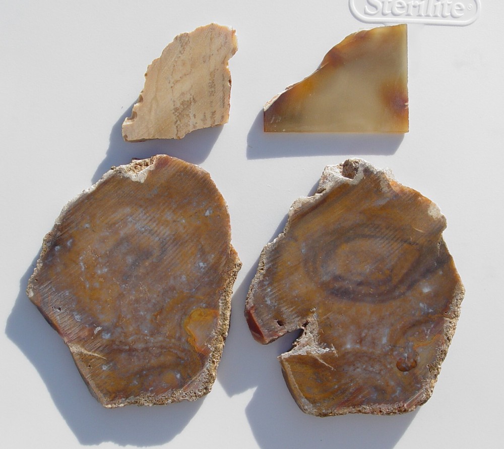 Lapidary Slabs agate jasper Lot 5