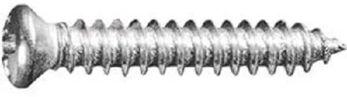 100#8 X 1" Phillips Oval #6 Head Tapping Screws Chrome