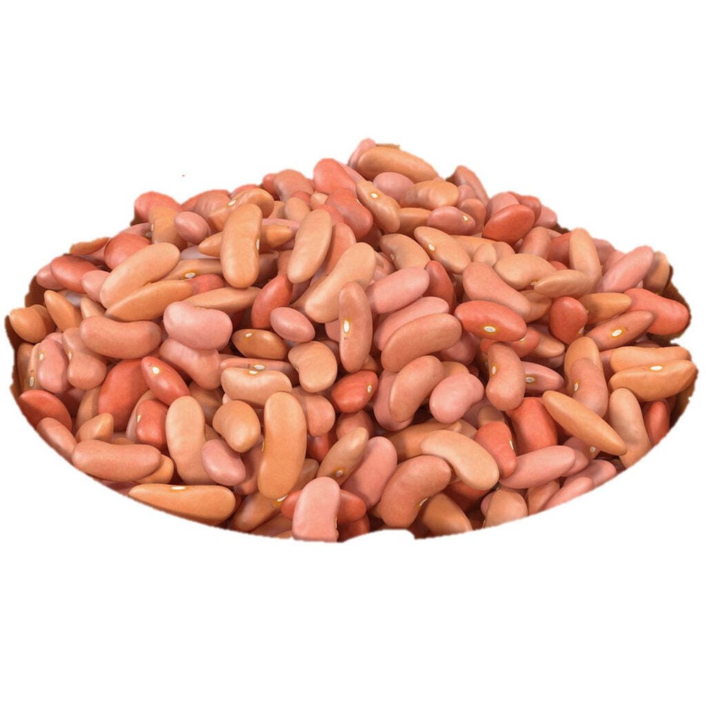 Aiva Light Red Kidney Beans