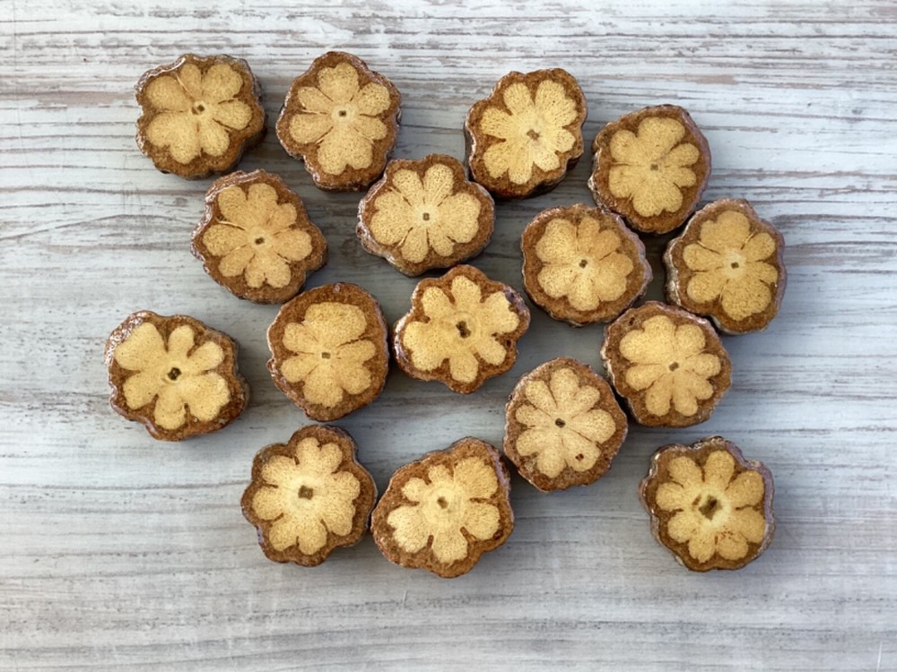 10 Pcs Ayahuasca Vine Slice 2.7cm