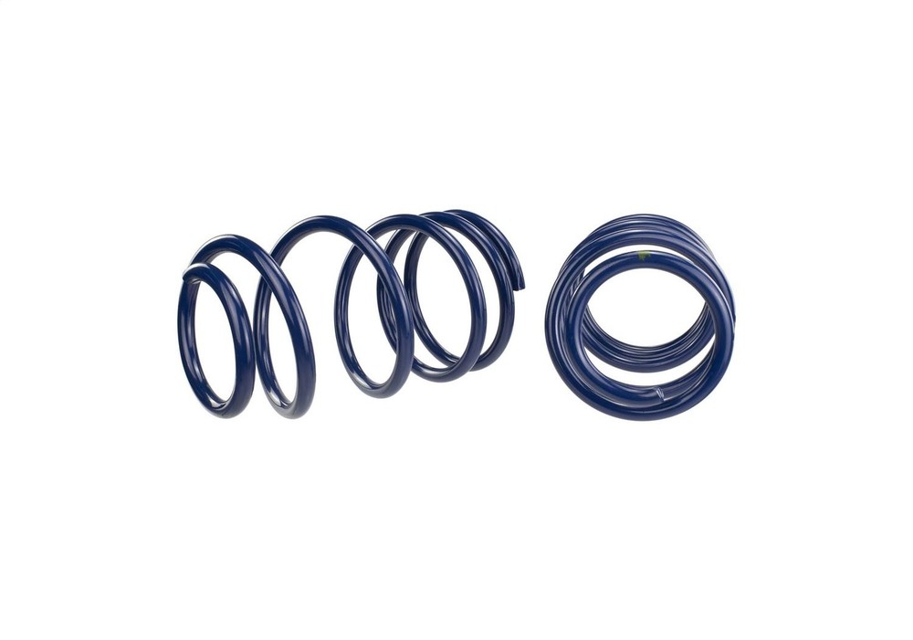 Ford Performance M-5300-L Lowering Spring Kit