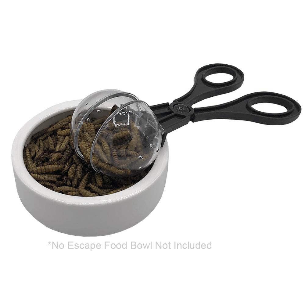 Wholesale Symple Bug Capturer x 10