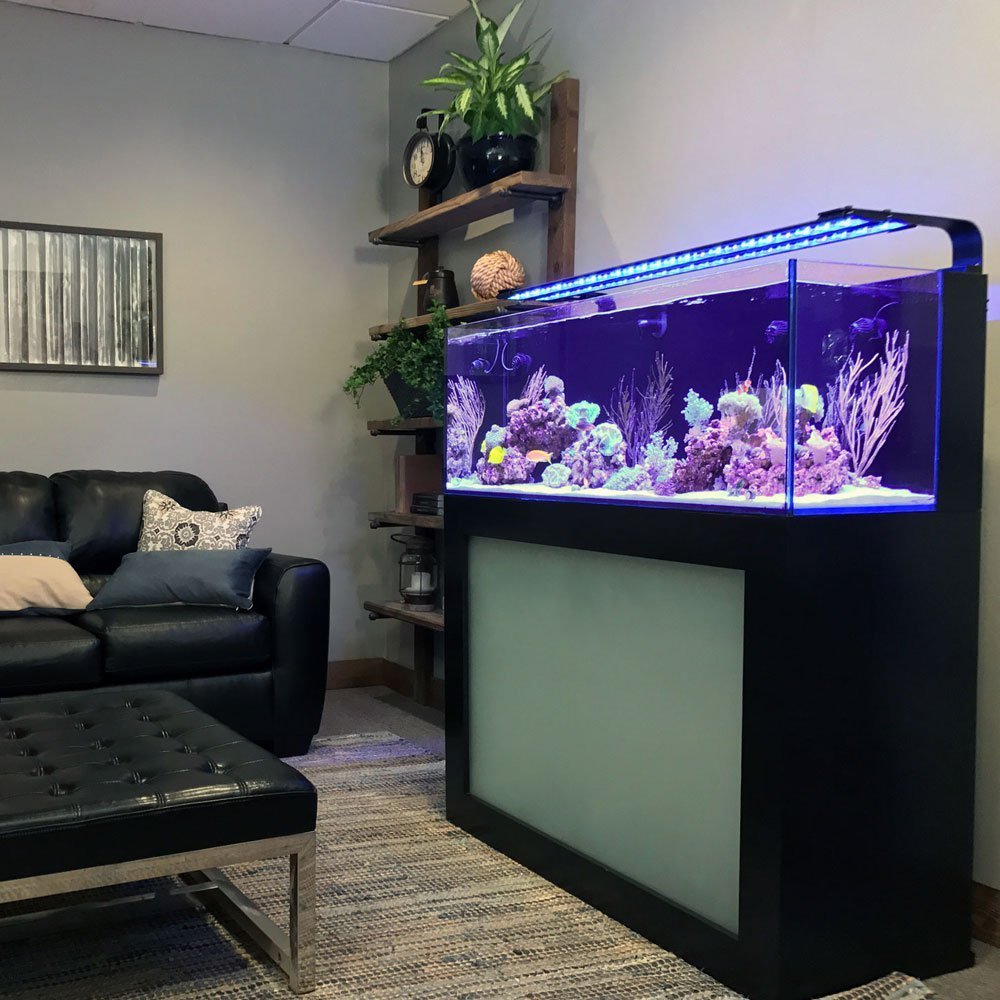 Current USA Orbit Adjustable Tank Mount Bracket