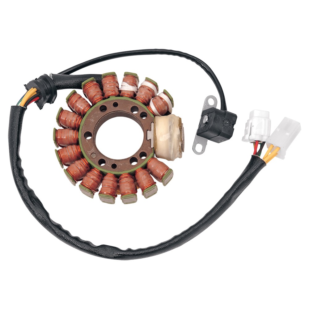 1994-1996 Yamaha YFB250Timberwolf ATV Rick's Electrics Stator