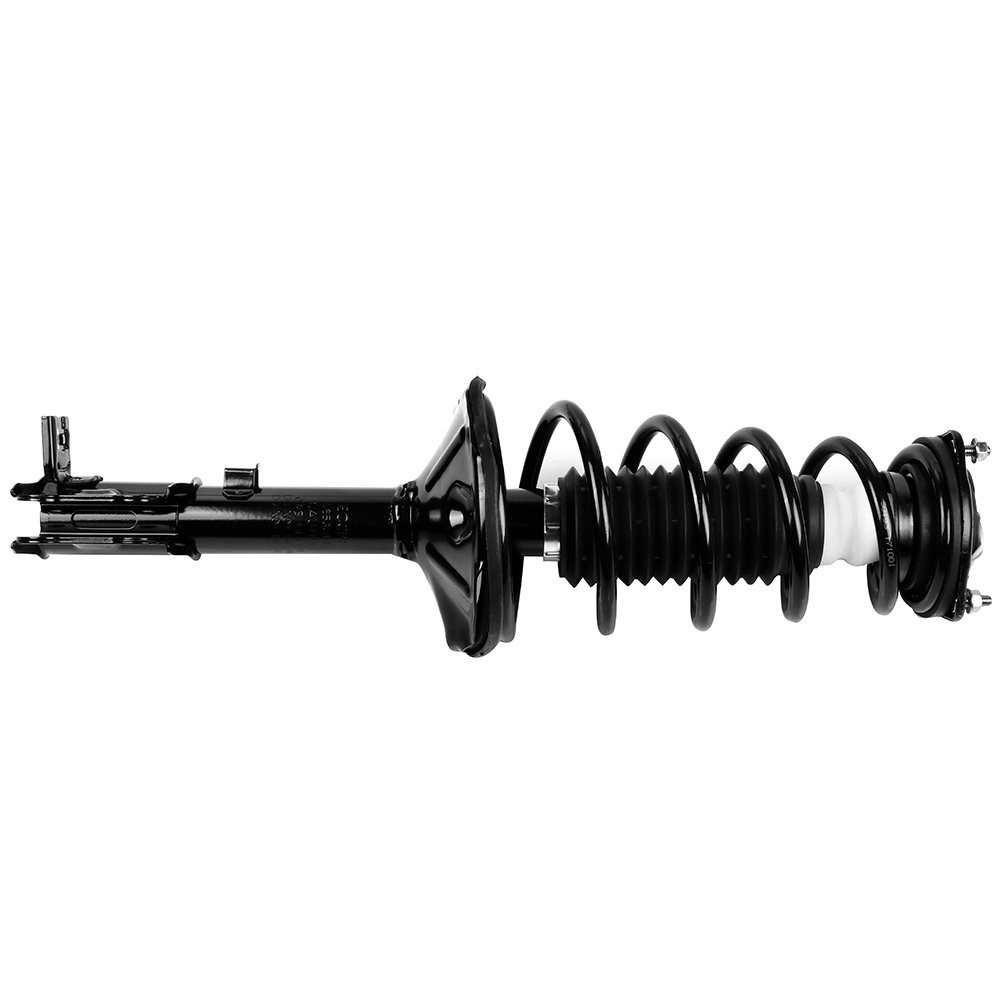 Complete Rear Strut Spring Assemblies Shock Absorbers for 2003-2005 Accent 2PCS